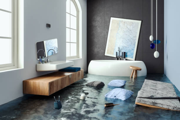 Best Water damage restoration mold remediation  in Fairbury, NE