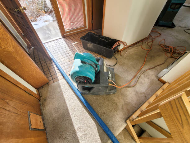 Best Fire Damage Restoration  in Fairbury, NE