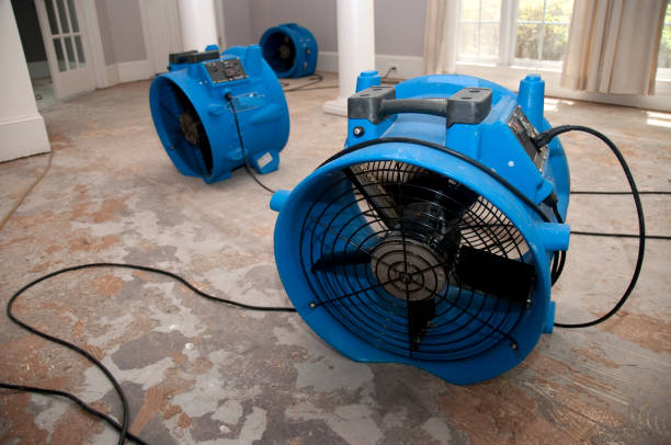Best Water damage restoration near me  in Fairbury, NE