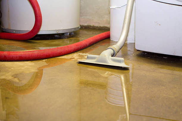 Best Water damage contractors near me  in Fairbury, NE