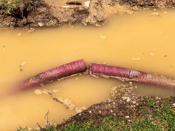 Best Water damage contractors near me  in Fairbury, NE