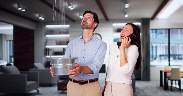 Best Ceiling water damage repair  in Fairbury, NE