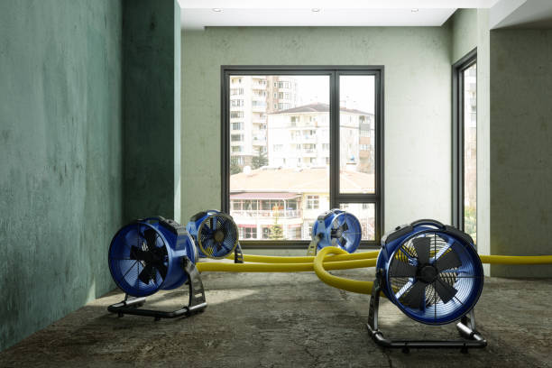 Best Flood restoration services  in Fairbury, NE