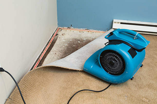 Best Local water damage restoration  in Fairbury, NE